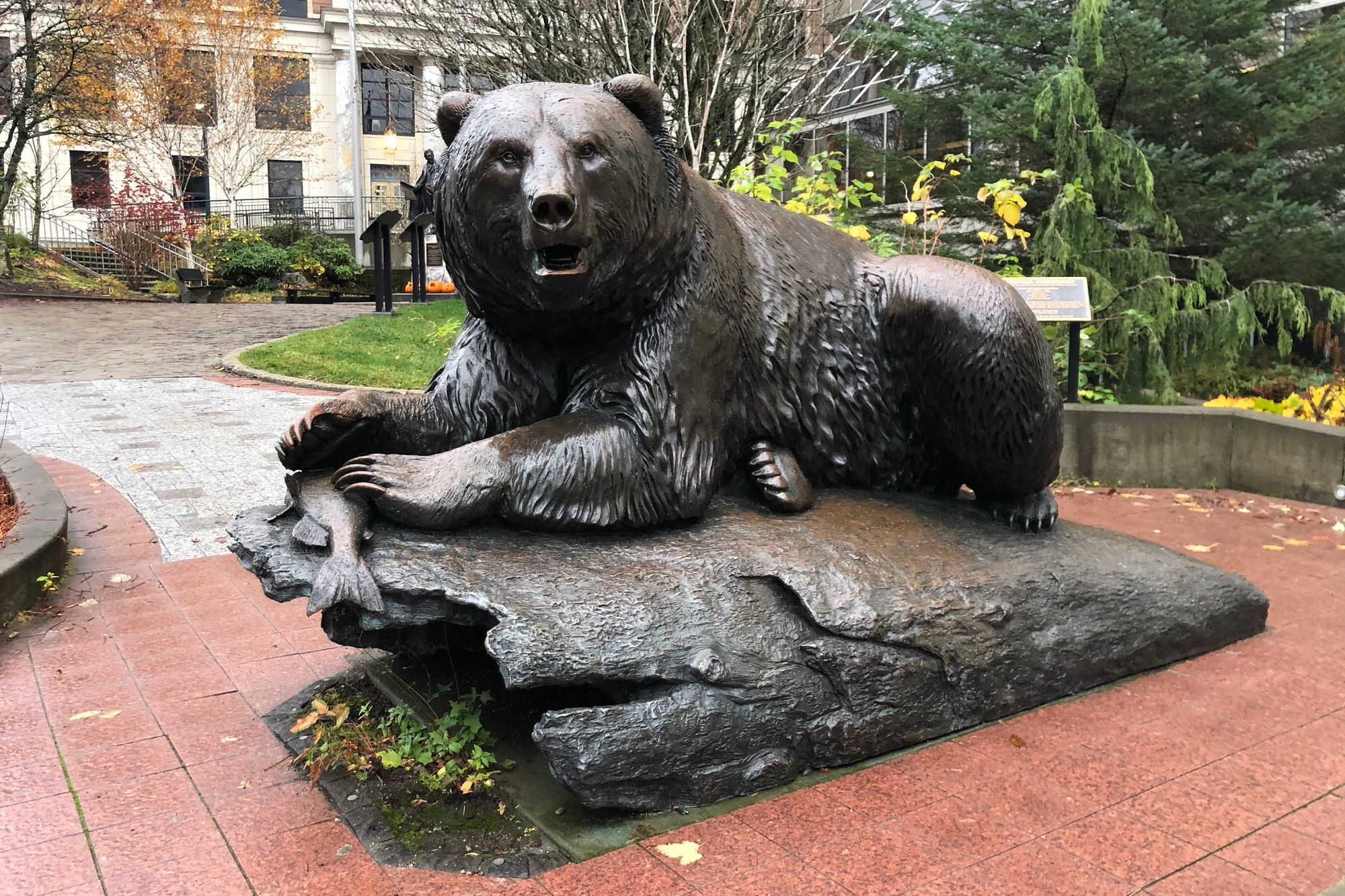 Not Cocaine Bear, Juneau, Alaska [Frederick Lane, 2018]