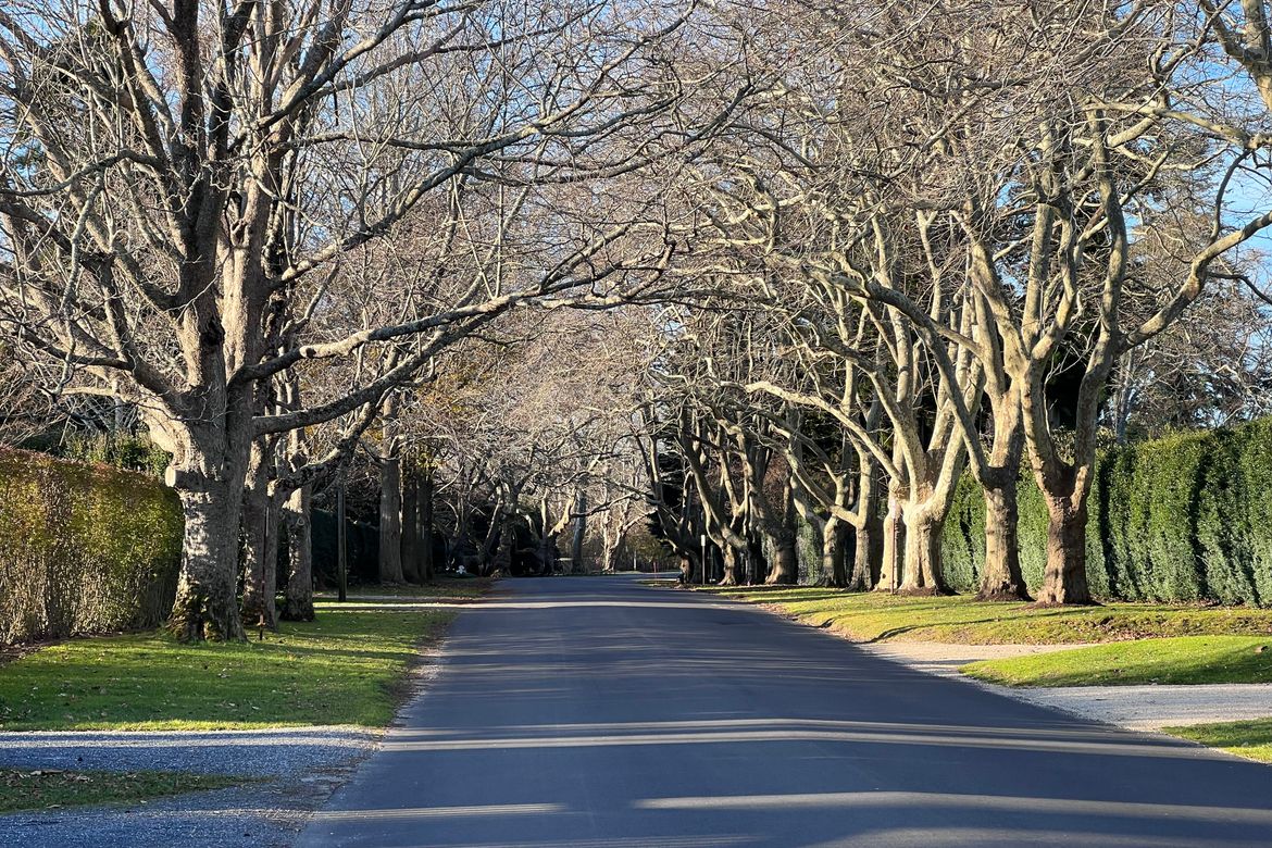 Cybertraps for Educators: Digest #2021-12-20