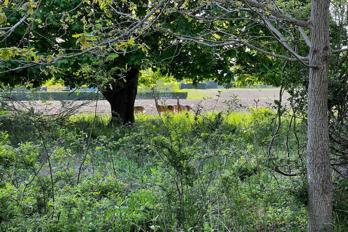 TCP Episode 127 -- Preventing Educator Abuse of Children with Dr. Charol Shakeshaft