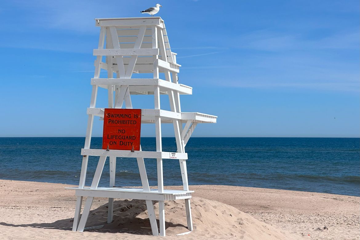 Cybertraps Summer Webinar Series